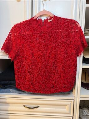 Zara Red Short-Sleeve Lace Floral Appliqué Top